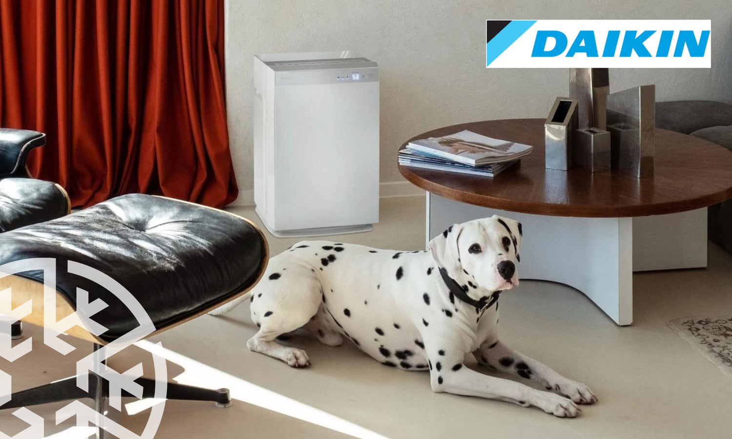 Why are air purifiers worth the investment?