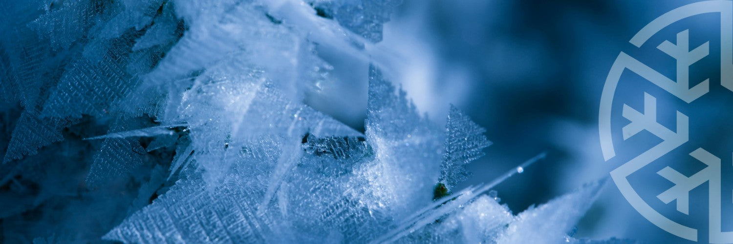 Chest Freezers