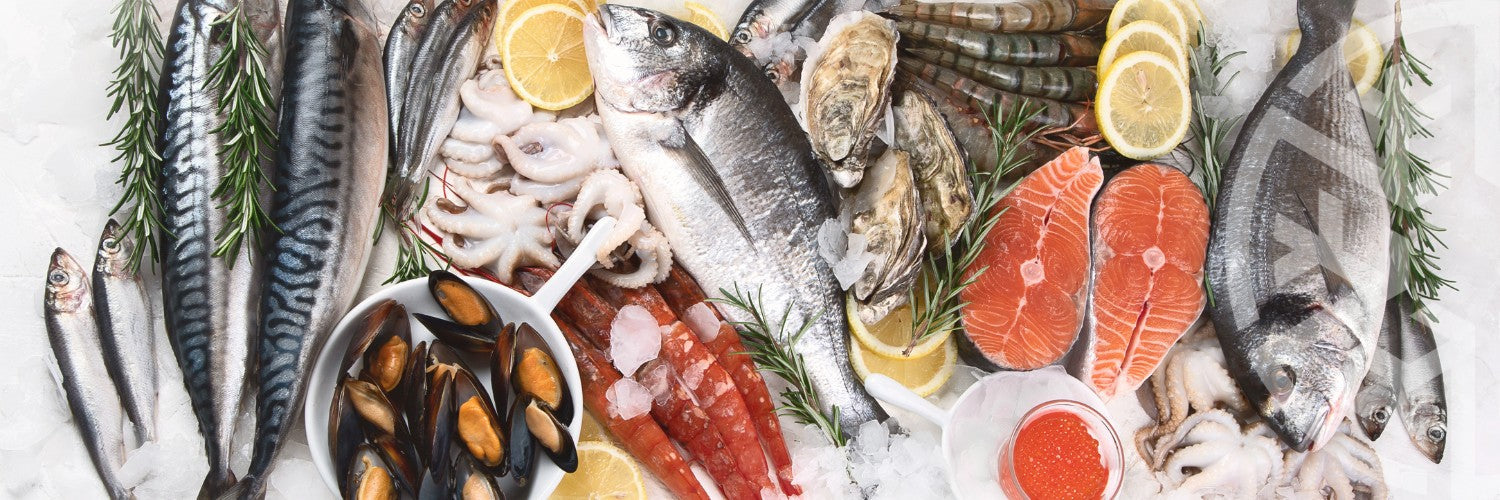 Gastro Seafood Cabinets
