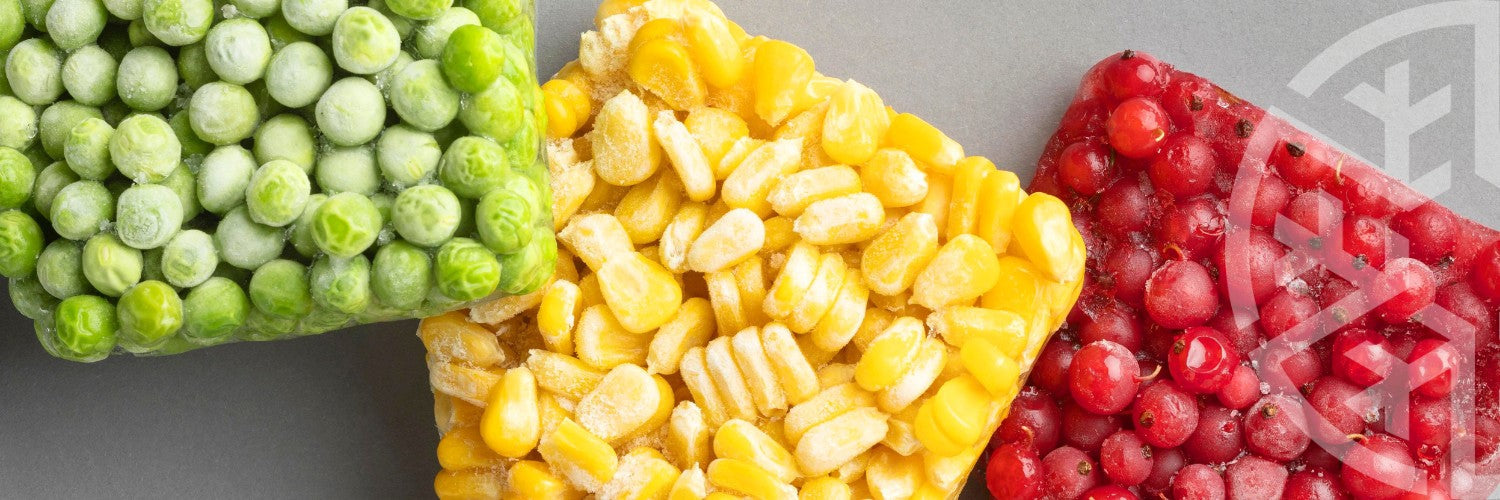 Gastro Solid Door Freezers