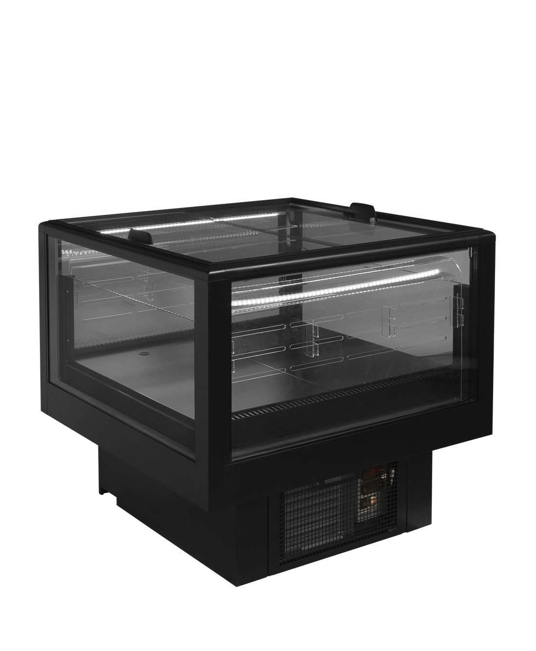 EIDA 100B